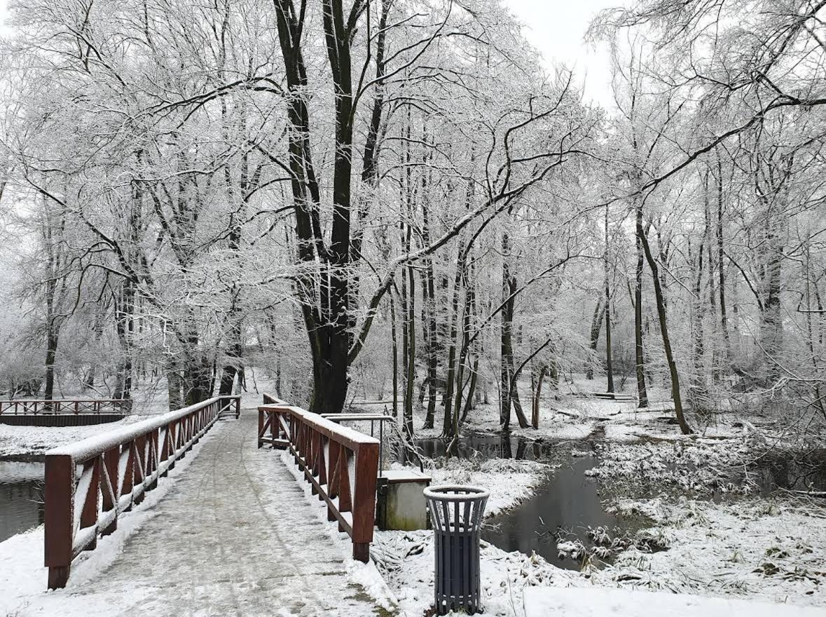Nowoczesny Z Ogrodem * Krakau